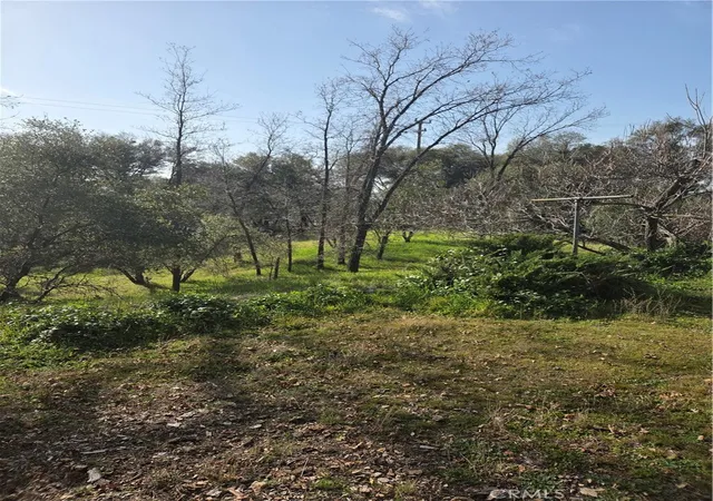 5th image of 58348 Road 225, North Fork, CA 93643 | MLS# FR26022855