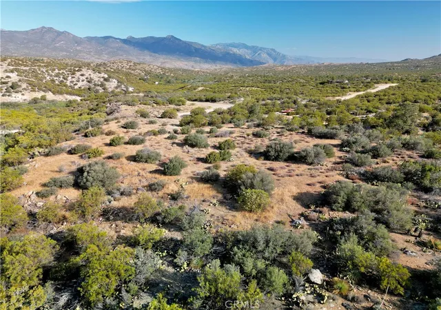 1st image of 75230 Palm Canyon Dr, Mountain Center, CA 92561 | MLS# JT26025786