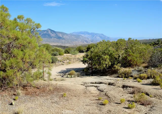 Photo 3 of Land for sale at 75230 Palm Cyn Dr, Mountain Center, CA 92561 | MLS# JT26025786 | Listing updated on 2026-06-26