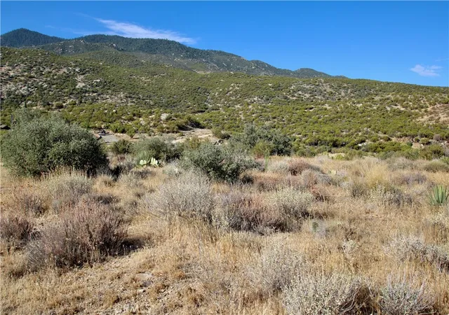Photo 3 of Land for sale at 75230 Palm Cyn Dr, Mountain Center, CA 92561 | MLS# JT26025786 | Listing updated on 2026-06-26