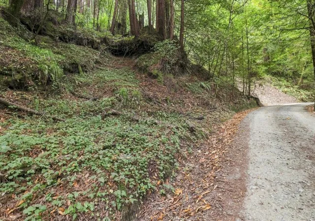 Photo 4 of Land for sale at 0 Pringle Ln, Soquel, CA 95073 | MLS# ML82033697 | Listing updated on 2026-09-17