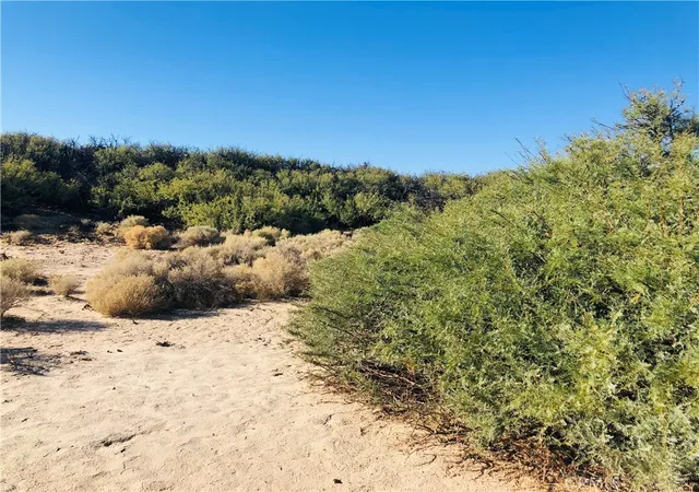 Homes for sale in 29 Palms, CA | 0 E Of Mesquite Ave, 29 Palms, CA 92277 | MLS# JT26026191