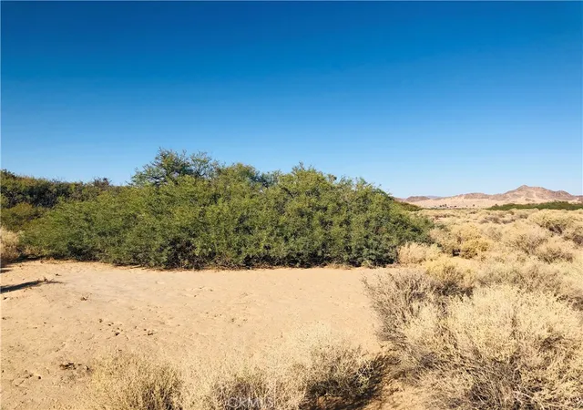 Homes for sale in 29 Palms, CA | 0 E Of Mesquite Ave, 29 Palms, CA 92277 | MLS# JT26026191