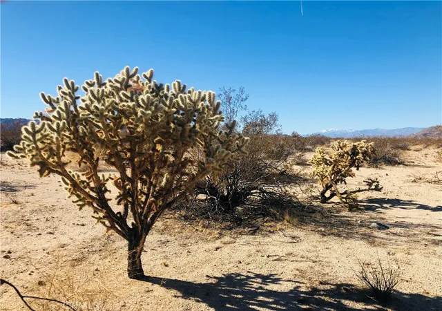 Homes for sale in 29 Palms, CA | 5 Appian Wy, 29 Palms, CA 92277 | MLS# JT26026270