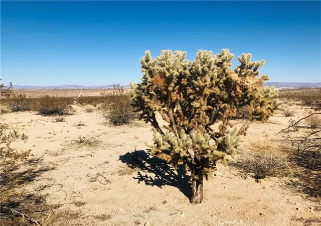 Homes for sale in 29 Palms, CA | 5 Appian Wy, 29 Palms, CA 92277 | MLS# JT26026270