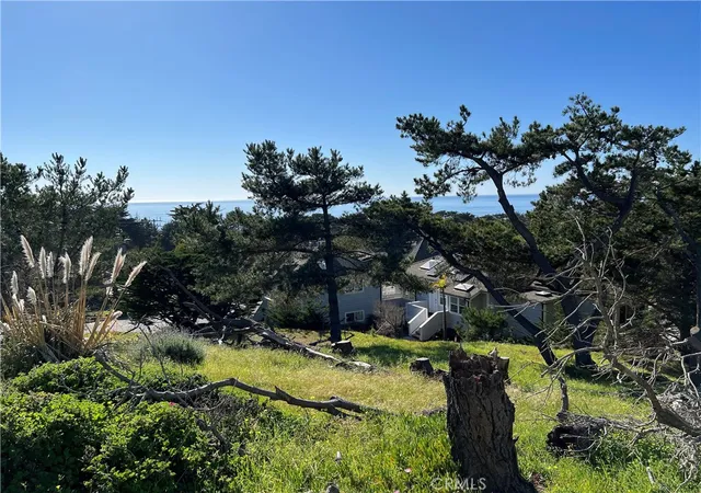 2nd image of 0 Chelsea Ln, Cambria, CA 93428 | MLS# SC26026125