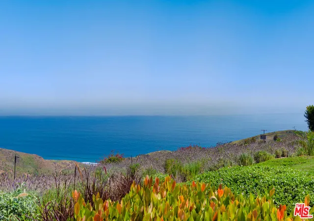 48th image of 2900 Corral Canyon Rd, Malibu, CA 90265 | MLS# 26648033