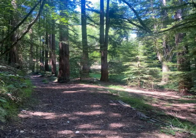 1st image of 2 Wainwright Pl, Mill Valley, CA 94941 | MLS# 41123085