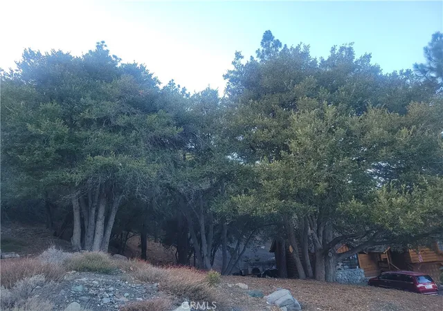 3rd image of 0 Desert View, Wrightwood, CA 92397 | MLS# HD26027330