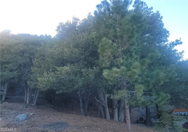 4th image of 0 Desert View, Wrightwood, CA 92397 | MLS# HD26027330
