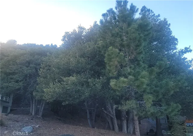 5th image of 0 Desert View, Wrightwood, CA 92397 | MLS# HD26027330