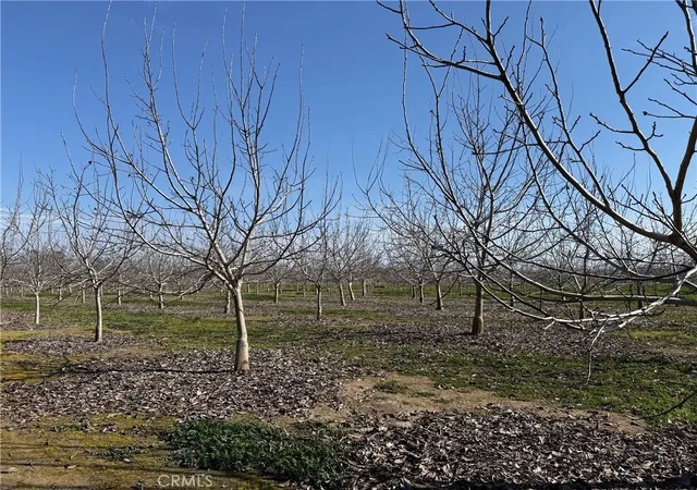 1st image of 0 Mcfadden Ln, Chico, CA 95928 | MLS# SN26027741