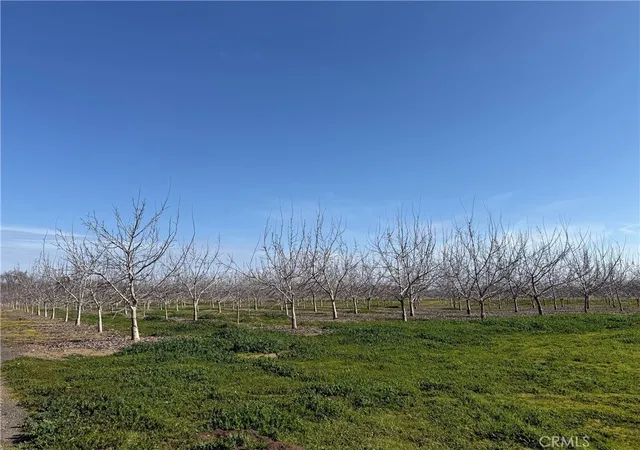 5th image of 0 Mcfadden Ln, Chico, CA 95928 | MLS# SN26027741