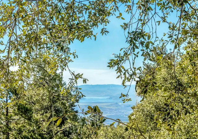 Photo 2 of Single family home for sale at 52365 Pine Ridge Rd, Idyllwild, CA 92549 | MLS# 219142822DA | Listing updated on 2026-09-26