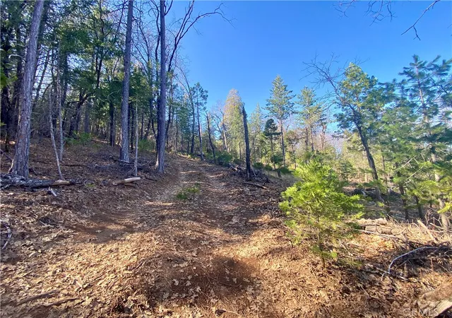 Photo 2 of Land for sale at 10130 Seigler Springs N, Kelseyville, CA 95451 | MLS# LC26027890 | Listing updated on 2026-09-21