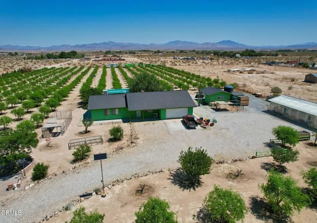 Homes for sale in Lucerne Valley, CA | 34738 Old Woman Springs Rd, Lucerne Valley, CA 92356 | MLS# P1-25779