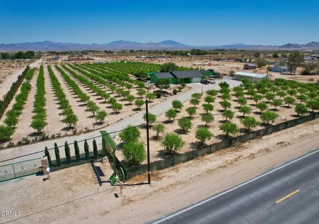 Homes for sale in Lucerne Valley, CA | 34738 Old Woman Springs Rd, Lucerne Valley, CA 92356 | MLS# P1-25779