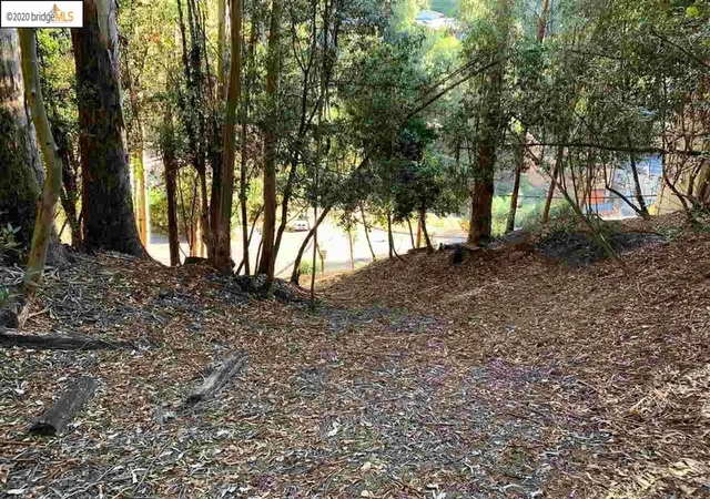 Photo 3 of Land for sale at 6698 Moore Dr, Oakland, CA 94611 | MLS# 41123420 | Listing updated on 2026-03-12