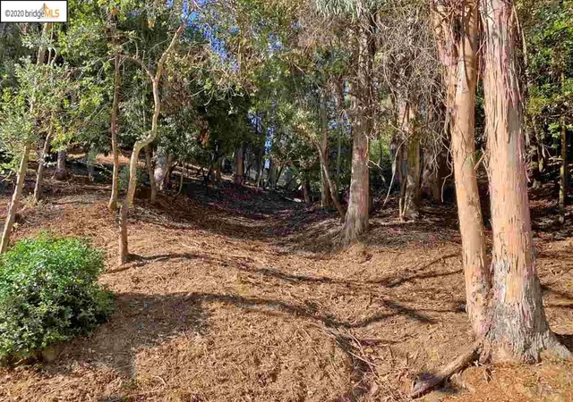5th image of 6696 Moore Dr, Oakland, CA 94611 | MLS# 41123434