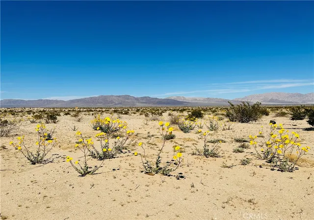Homes for sale in 29 Palms, CA | 0 Near Shelton Rd, 29 Palms, CA 92277 | MLS# JT26029724