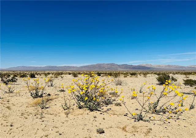 Homes for sale in 29 Palms, CA | 0 Near Shelton Rd, 29 Palms, CA 92277 | MLS# JT26029724