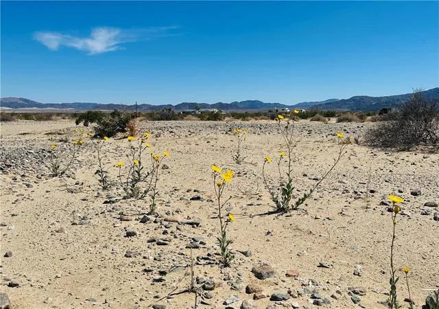 Homes for sale in 29 Palms, CA | 0 Stormy Rd, 29 Palms, CA 92277 | MLS# JT26029749