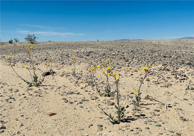Homes for sale in 29 Palms, CA | 0 Stormy Rd, 29 Palms, CA 92277 | MLS# JT26029749