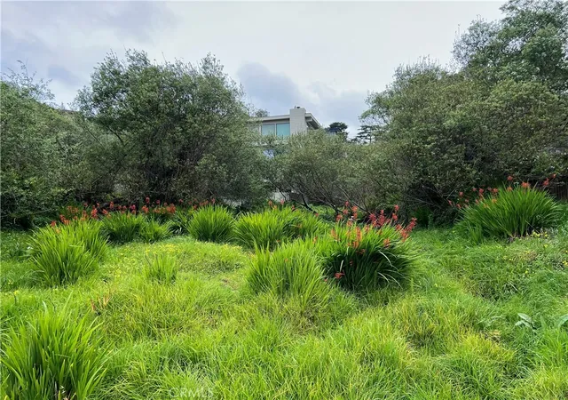 3rd image of 0 Madison St, Cambria, CA 93428 | MLS# SC26030349