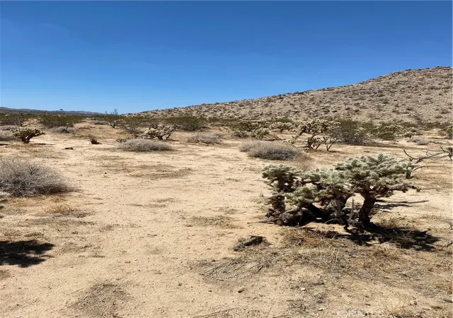 3rd image of 5814 Sunburst, Joshua Tree, CA 92252 | MLS# JT26020602