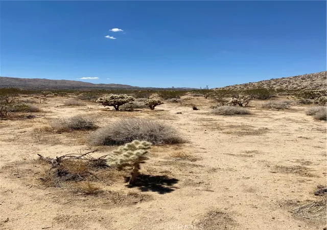 4th image of 5814 Sunburst, Joshua Tree, CA 92252 | MLS# JT26020602