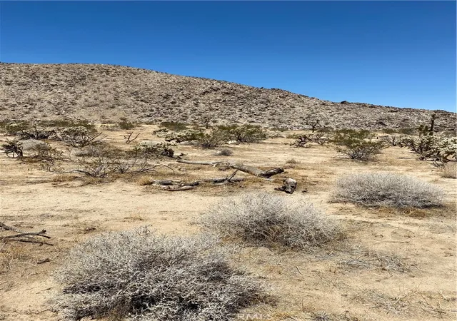 5th image of 5814 Sunburst, Joshua Tree, CA 92252 | MLS# JT26020602