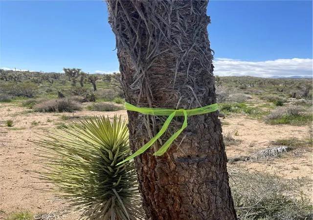 Photo 3 of Land for sale at 57300 Sunway, Yucca Valley, CA 92284 | MLS# JT26022475 | Listing updated on 2026-06-22