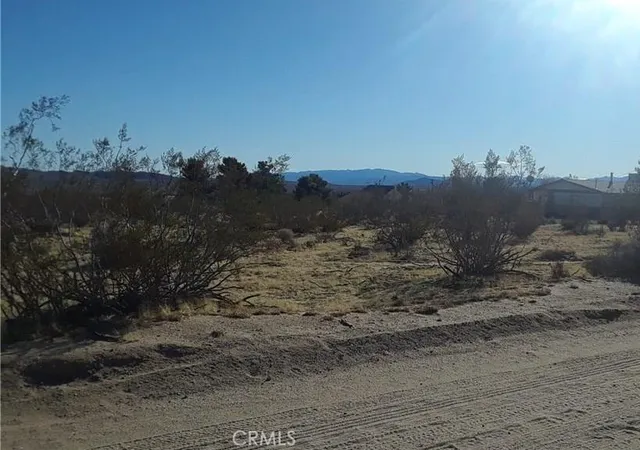 Photo 3 of Land for sale at 345 Deer Trl, Yucca Valley, CA 92284 | MLS# JT26022517 | Listing updated on 2026-06-19