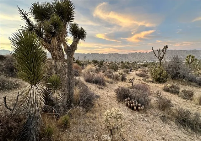 Photo 1 of Land for sale at 55370 Bunny Rd, Yucca Valley, CA 92284 | MLS# JT26022536 | Listing updated on 2026-06-19