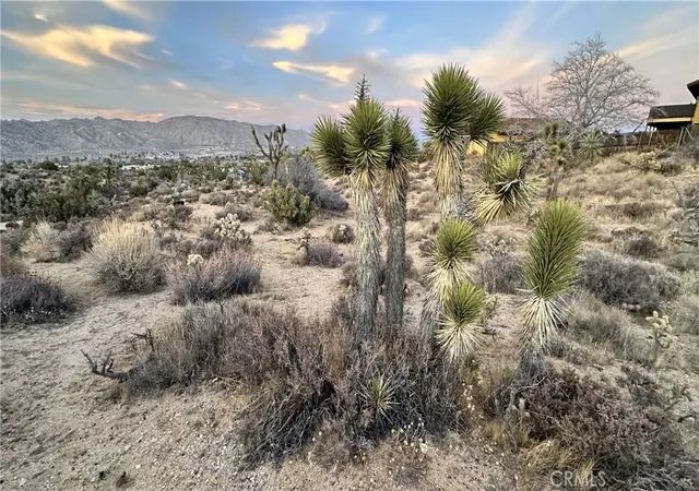 Photo 3 of Land for sale at 55370 Bunny Rd, Yucca Valley, CA 92284 | MLS# JT26022536 | Listing updated on 2026-06-19