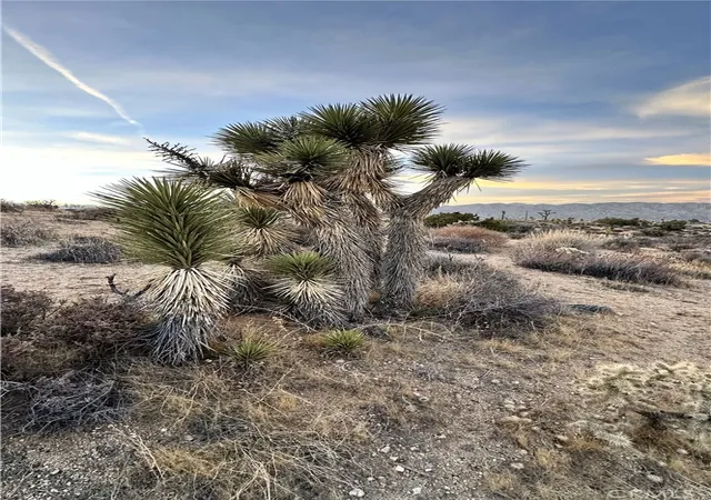 Photo 3 of Land for sale at 55370 Bunny Rd, Yucca Valley, CA 92284 | MLS# JT26022536 | Listing updated on 2026-06-19