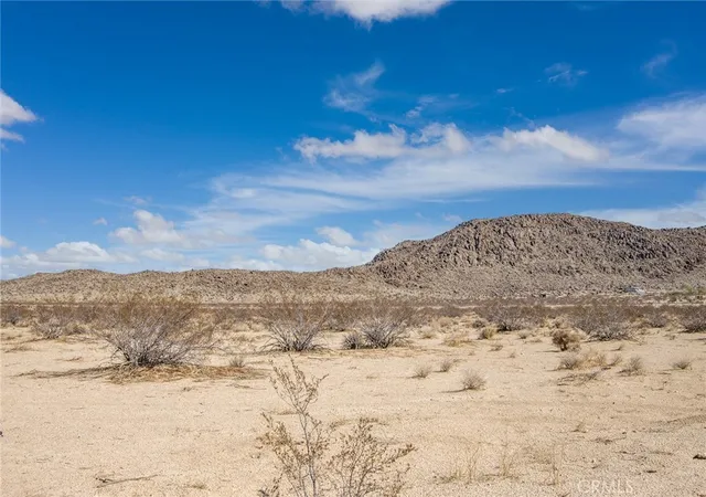 1st image of 7777 La Brisa Dr, Joshua Tree, CA 92252 | MLS# JT26031290