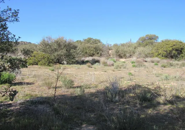 4th image of 4 38 Acres Buckman Springs Rd, Campo, CA 91906 | MLS# PTP2601114