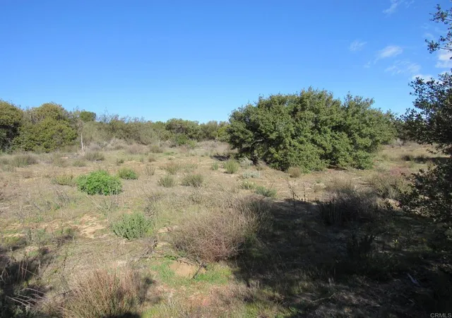 5th image of 4 38 Acres Buckman Springs Rd, Campo, CA 91906 | MLS# PTP2601114