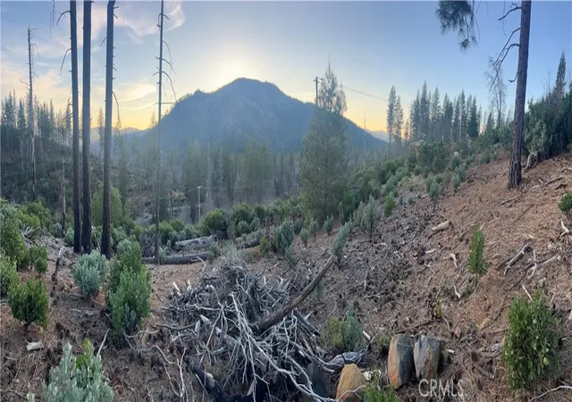 Photo 2 of Land for sale at 16790 Starview Loop Rd, Cobb, CA 95426 | MLS# LC26027553 | Listing updated on 2026-02-12