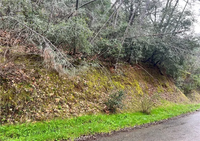 3rd image of 7022 Black Oak St, Nice, CA 95464 | MLS# LC26032285
