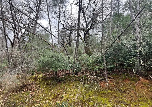 5th image of 7022 Black Oak St, Nice, CA 95464 | MLS# LC26032285
