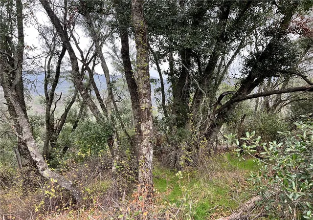 3rd image of 7166 Butte Ct, Nice, CA 95464 | MLS# LC26032278