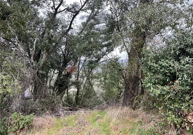 4th image of 7166 Butte Ct, Nice, CA 95464 | MLS# LC26032278