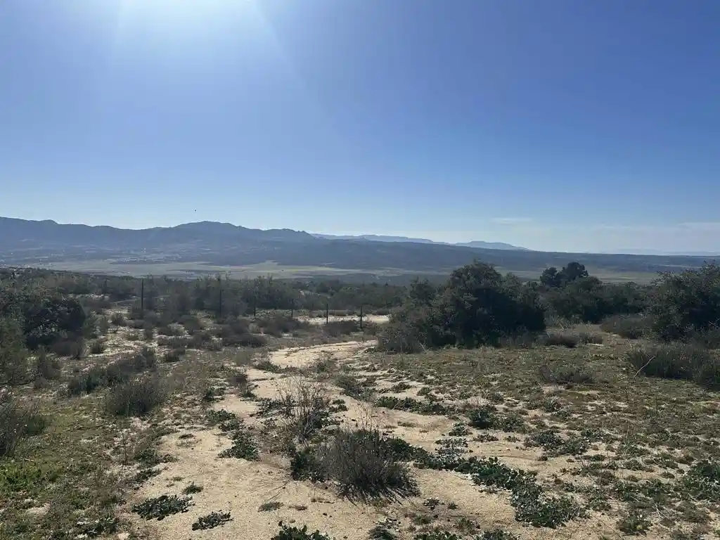 Photo 1 of Land for sale at 40368 Elm Brush Trl, Anza, CA 92539 | MLS# PTP2601141 | Listing updated on 2026-10-21