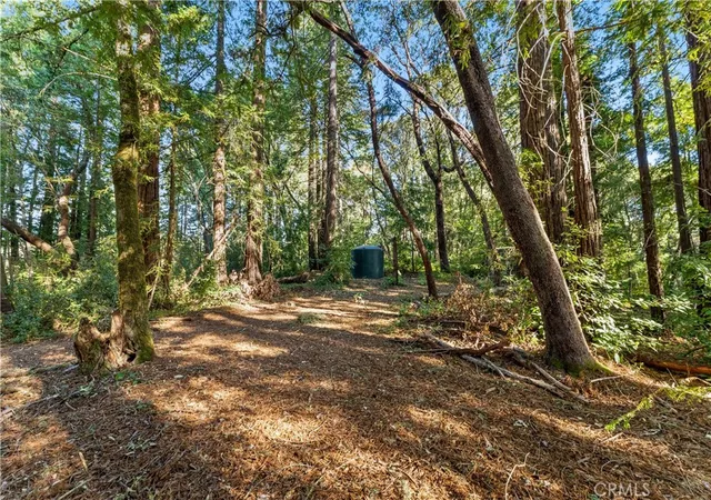 Photo 3 of Land for sale at 4419 Trout Gulch, Aptos, CA 95003 | MLS# PI26031658 | Listing updated on 2026-03-12