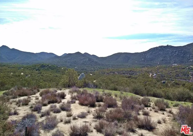 44th image of 51919 Tule Peak Rd, Aguanga, CA 92536 | MLS# 26650203