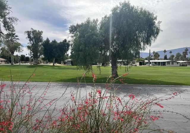Homes for sale in Borrego Springs, CA | 1010 Palm Canyon Dr #84, Borrego Springs, CA 92004 | MLS# 260003483SD
