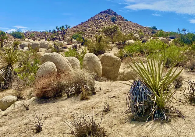 Homes for sale in Yucca Valley, CA | 104 Bandera Rd, Yucca Valley, CA 92284 | MLS# 219143179PS