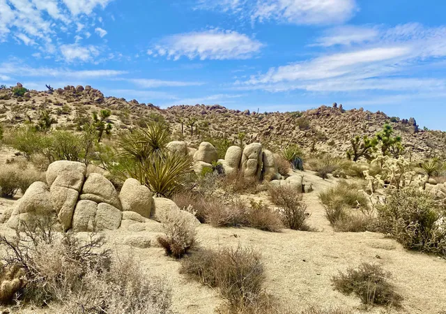 Homes for sale in Yucca Valley, CA | 104 Bandera Rd, Yucca Valley, CA 92284 | MLS# 219143179PS